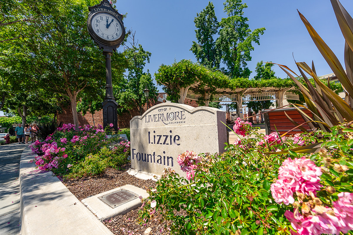 A scenic view of Lizzie Fountain in the City of Livermore, California. The foreground showcases blooming pink flowers, a decorative clock tower, and a stone sign with the name 'Lizzie Fountain' engraved on it.